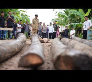 Sat-Set, Bupati OKI Cek Langsung Jembatan Rusak di Desa Kandis. Dinas PUPR Lakukan Penanganan Darurat