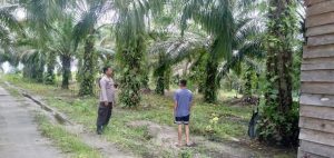 Antisipasi Gangguan Kamtibmas, Personel Polsek Rakumpit Sambangi Perkebunan Warga