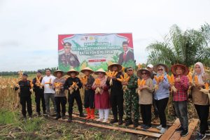 Dukung Ketahanan Pangan, Brimob Kalteng Gelar Panen Raya Jagung di Sampit dan Pangkalan Bun