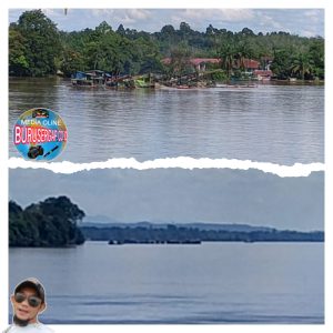 Setelah Libur Lebaran IdulFitri 1446 H.Kegiatan PETI kembali beraksi Disepanjang Aliran Sungai Kapuas, Di Dusun Sungai Putat, Kabupaten Sekadau.