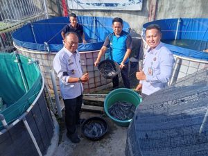 Panen Ikan Lele di Lapas Sampit