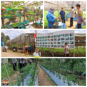 Tim Juri Polres Sintang Lakukan Penilaian Lomba Pekarangan Pangan Bergizi di Binjai Hulu