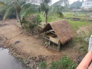 Prof Sutan Nasomal Pakar Hukum Internasional, Ekonomi, Menyoroti Harga Singkong Turun Drastis