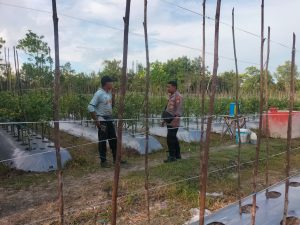 Polsek Bukit Batu Ajak Warga Manfaatkan Pekarangan untuk Ketahanan Pangan