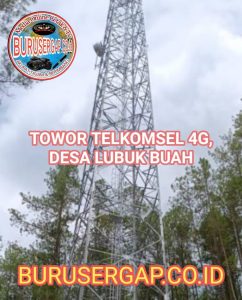 SINYAL 4G DI TOWOR TELKOMSEL , DESA LUBUK BUAH KEMBALI BERULAH TIDAK NORMAL