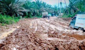 Akses Jalan Desa Kalang – Batu Ampar Rusak Parah, Warga Seruyan Terisolasi
