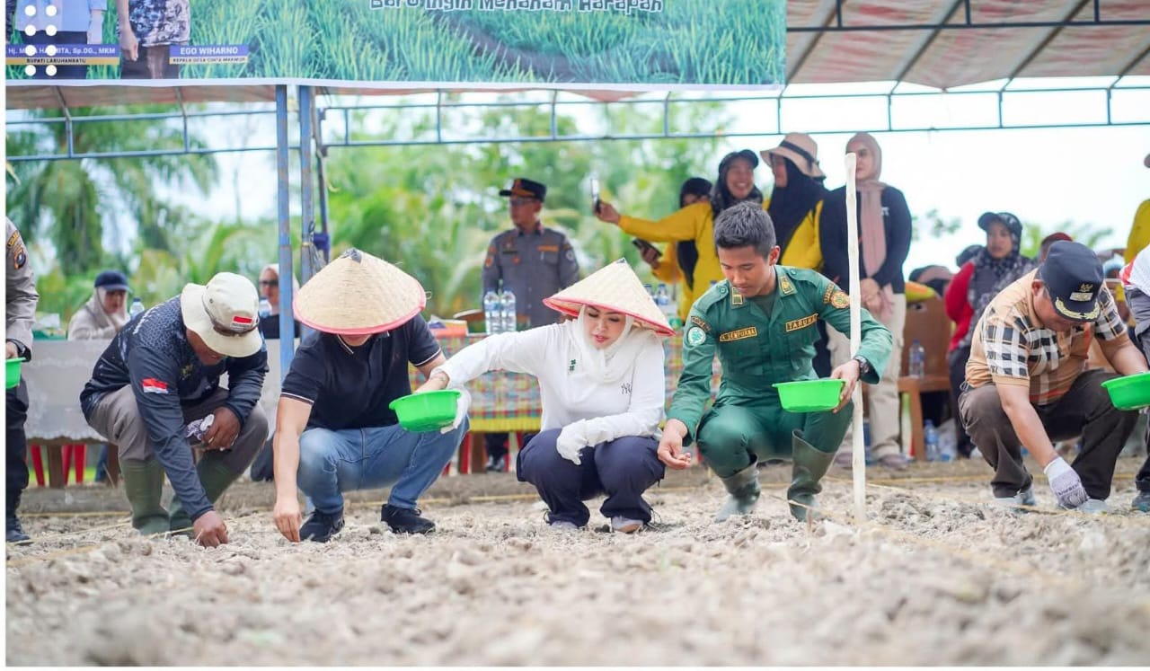 Bupati dan Wabup Labuhanbatu Tanam Padi Gogo Bersama Forkopimda