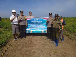 Wujudkan Kemandirian Pangan, Polsek Hanau Gandeng PT Tapian Nadengan Tanam Jagung Hibrida di Lahan 30 Hektare