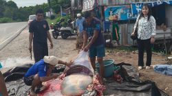 Tumbuhkan Solidaritas Keluaga Besar CV. Dwika Sukses Gelar Kurban Idul Adha 1447 Hijriah di Sampit